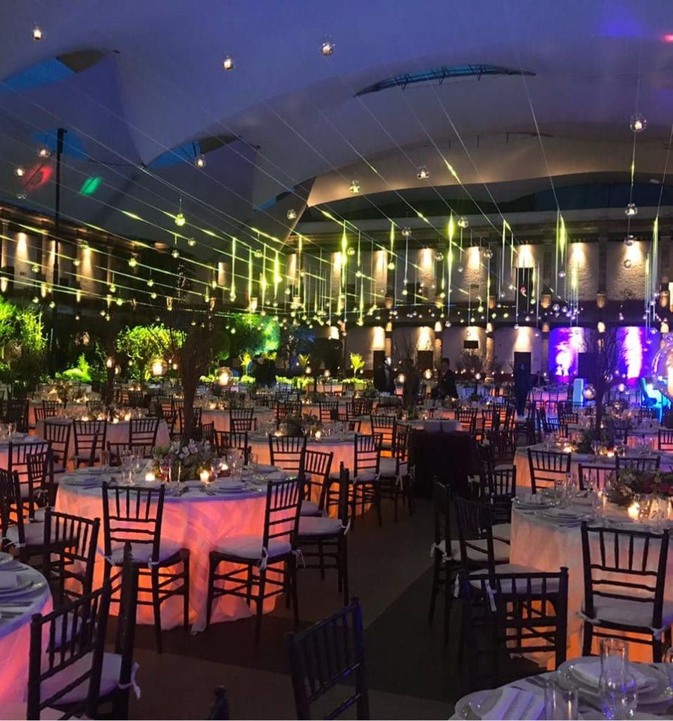 Fiestas Tematicas (5)